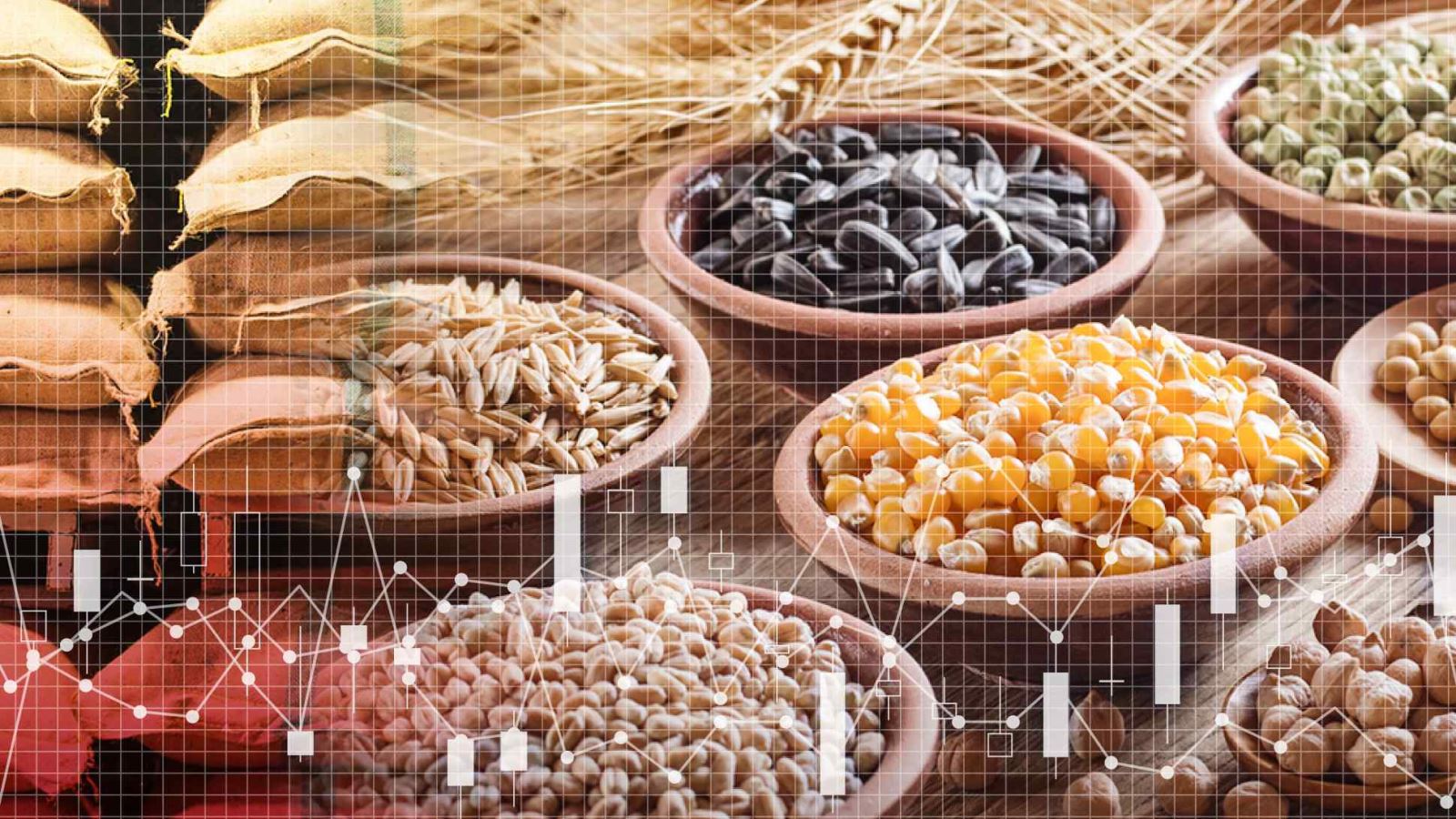 Giá ngũ cốc toàn cầu có nguy cơ bị đẩy giá khi Trung Quốc đang tích trữ ½ sản lượng của thế giới