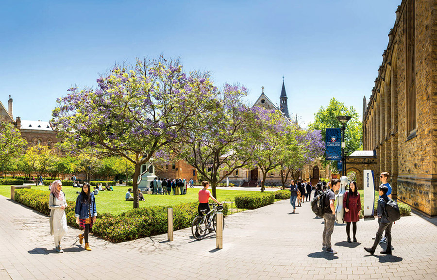 Tại sao Adelaide (Úc) là thành phố yêu thích của du học sinh quốc tế?