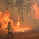 Úc: Cảnh báo khẩn cấp hiện tượng cháy rừng trong mùa hè khắc nghiệt