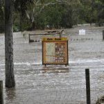 Nhiều cơn mưa đổ bộ Nam Úc sau lũ lụt
