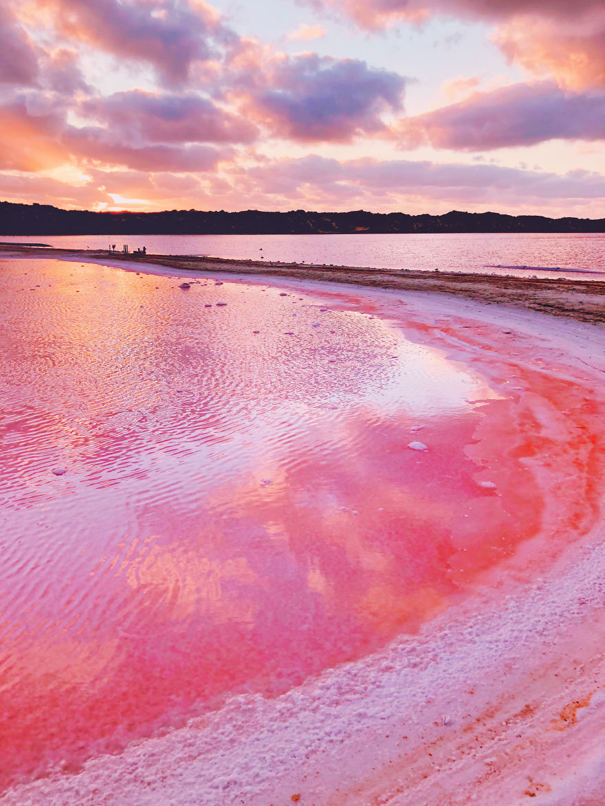 Ngắm vẻ đẹp kỳ diệu với hồ nước màu hồng ở Úc