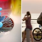 Mối đe dọa Melioidosis bao trùm lãnh thổ phía Bắc nước Úc