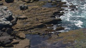 Hai cha con chết thảm khi đi câu cá ngoài bãi đá ở Sydney
