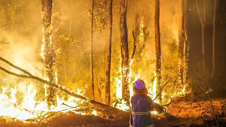 Cháy rừng nghiêm trọng tại Vịnh Eagle, Tây Úc