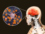 Cảnh báo bệnh viêm não Nhật Bản tại bang Victoria (Úc)