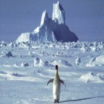 Công bố gói 800 triệu USD để củng cố các tuyên bố về Nam Cực của Úc