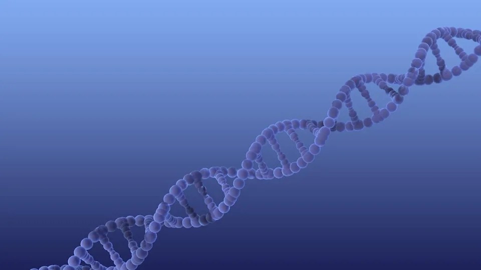 Đại học New South Wales phát triển chương trình DNA mới để giúp bệnh nhân ung thư