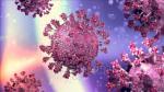 Phát hiện đột biến kháng thuốc điều trị Covid-19 Sotrovimab