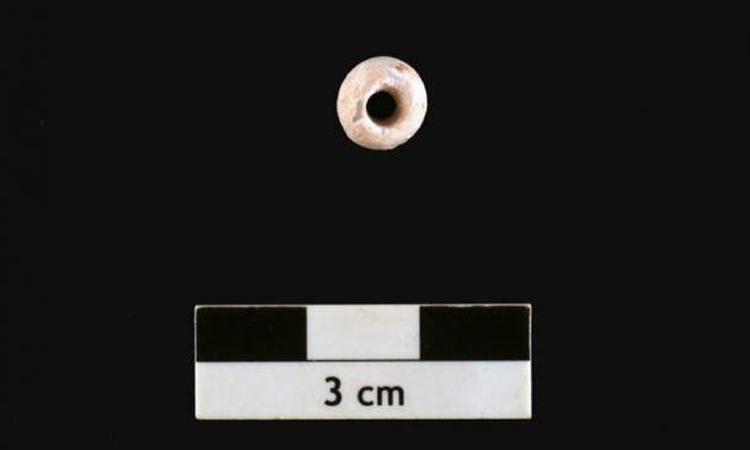 Tìm thấy hạt ngọc trai 6.500 năm tuổi