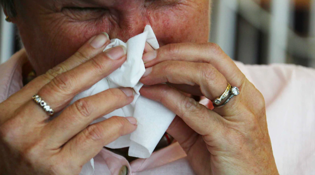 Xuất hiện vi rút “siêu cảm cúm” ở Úc