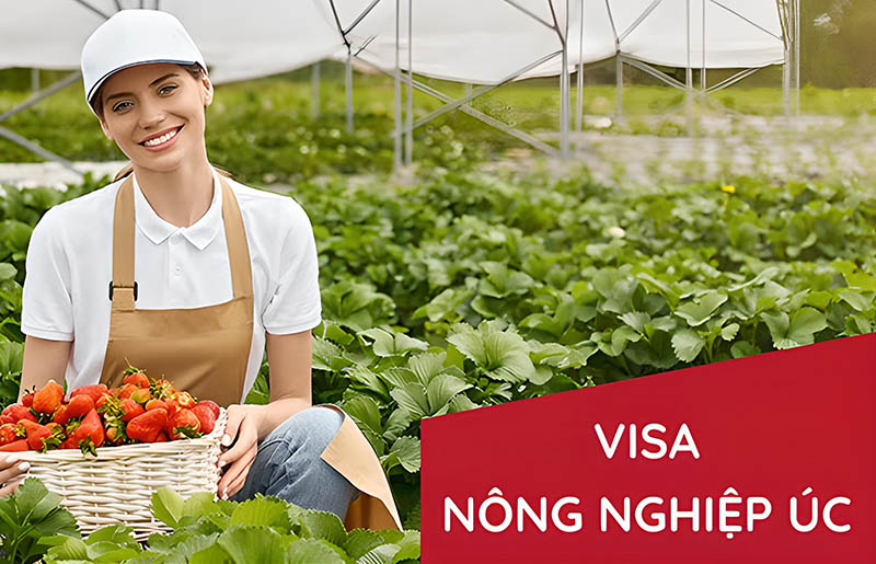 Visa nông nghiệp Úc 403